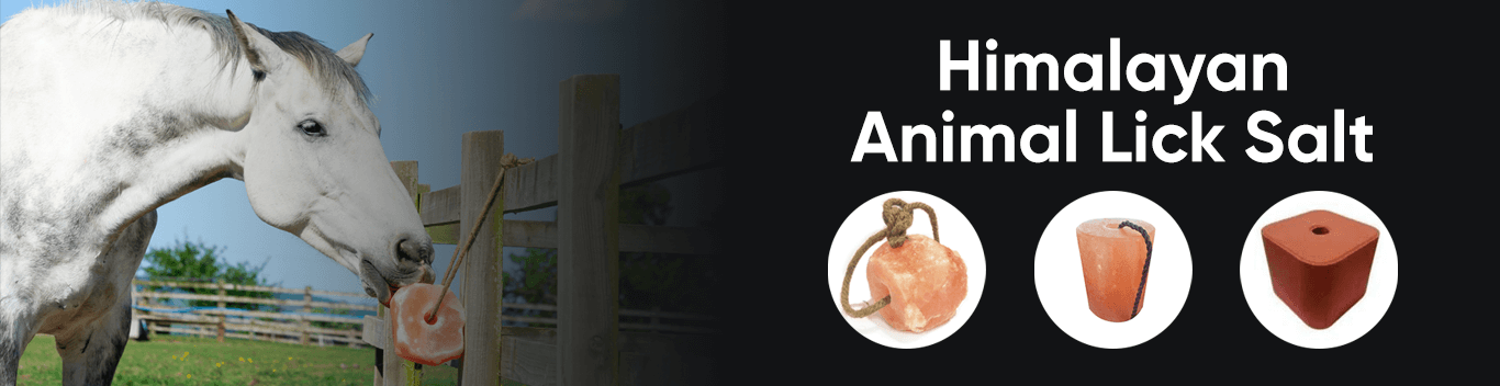 Animal Lick Salt - Olympic Salt